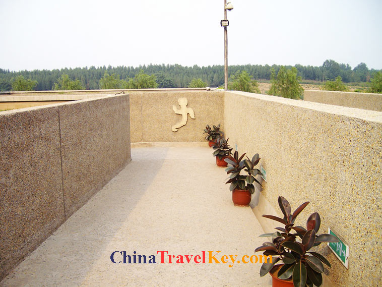 photo of anyang yin dynasty ruins museum 