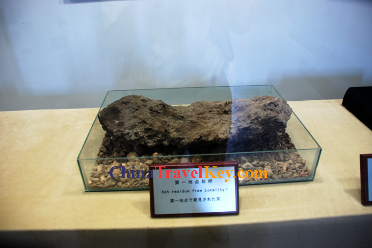 Beijing Man Site