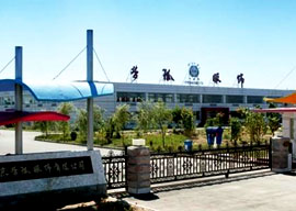 Beijing Dream Fox Apparel Technology Development Co.Ltd