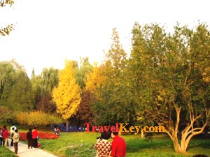 Photo of Fragrant Hill