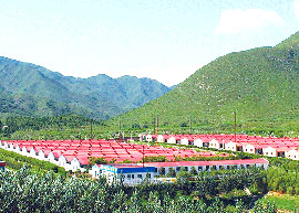 Pengchen Food Subsidary