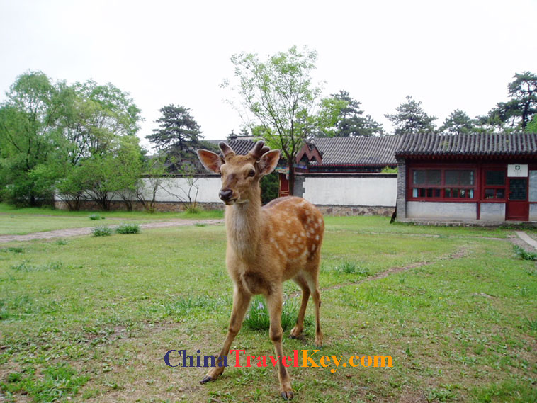 photo of chengde mountain resort