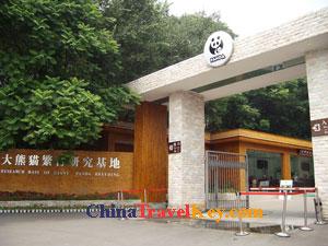 photo of Panda Breeding Research Base