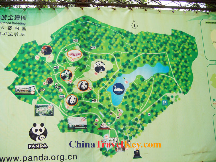 photo of chengdu panda temple