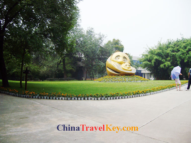 photo of chengdu panda temple