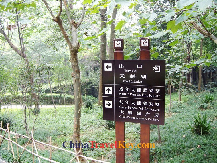 photo of chengdu panda temple