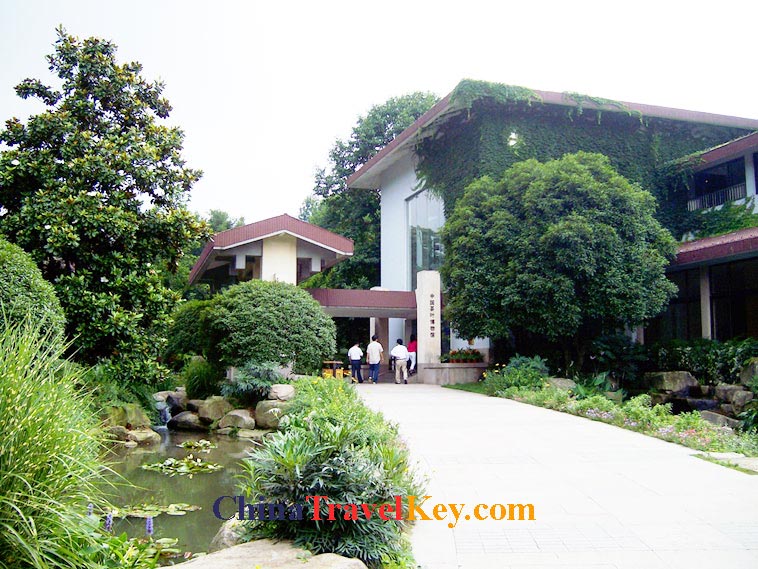 photo of hangzhou tea museum