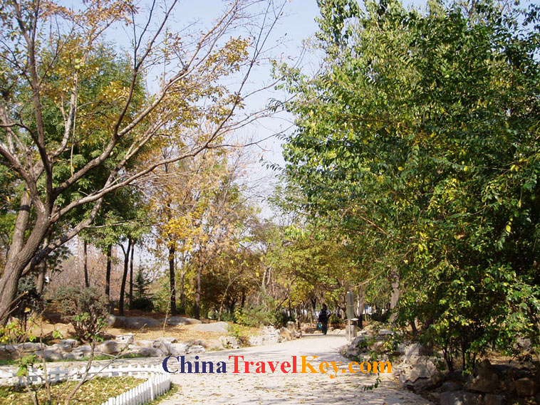 photo of jinan botanical garden