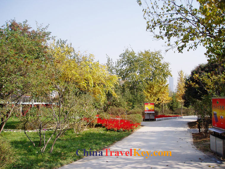 photo of jinan botanical garden