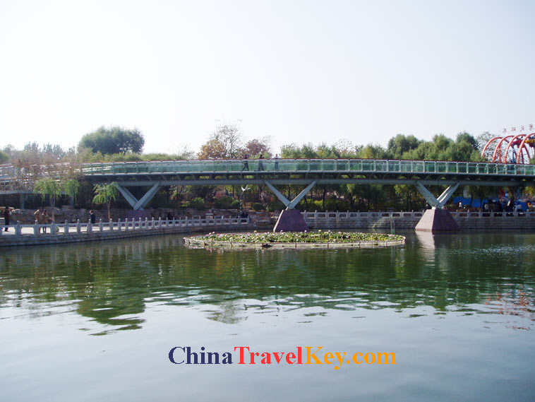 photo of jinan botanical garden