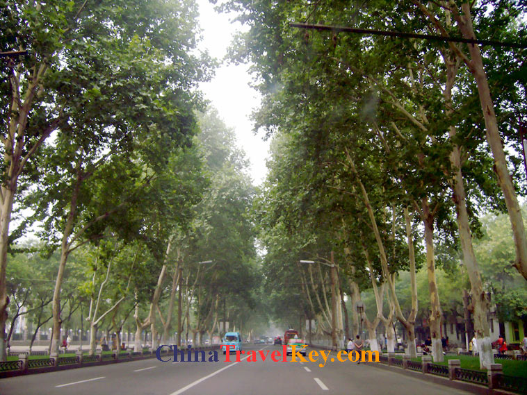 photo of luoyang street