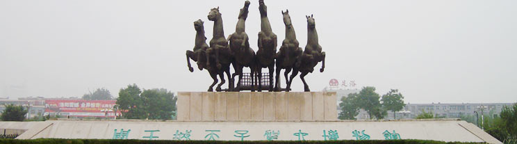 photo of luoyang tour