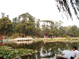 Beijing Fragrant Hills