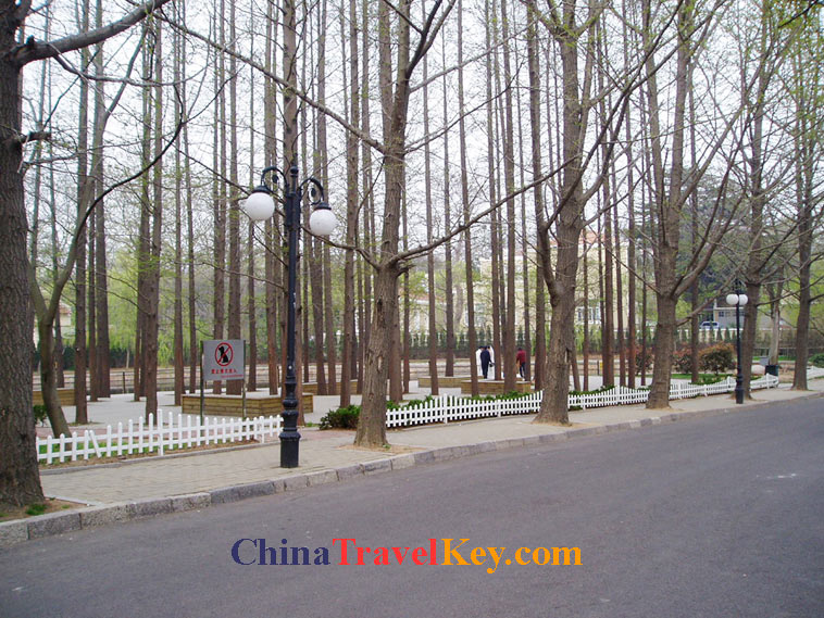 photo of qingdao badaguan scenic area