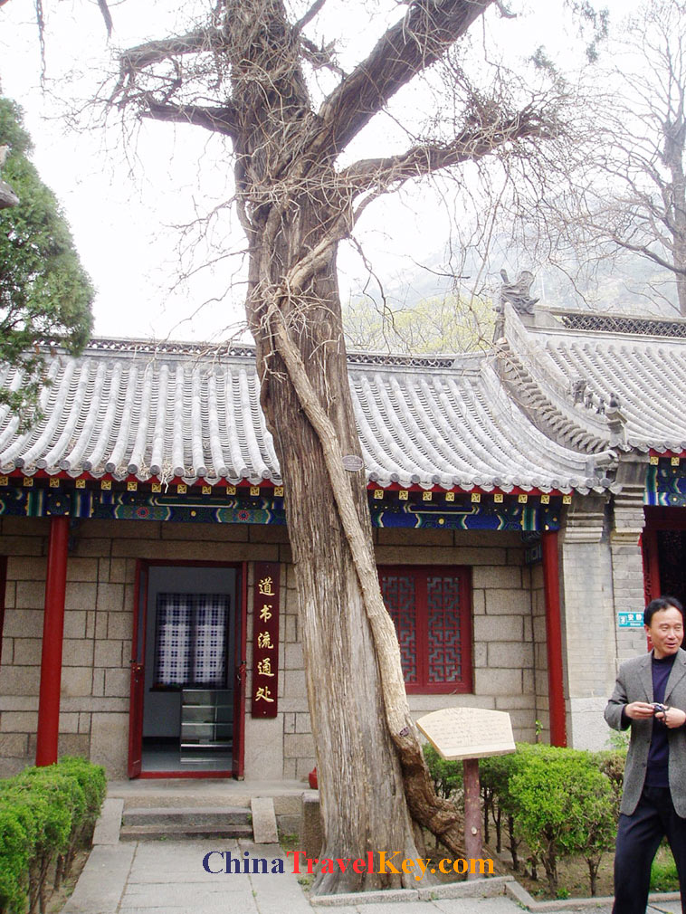 photo of qingdao taiqing palace