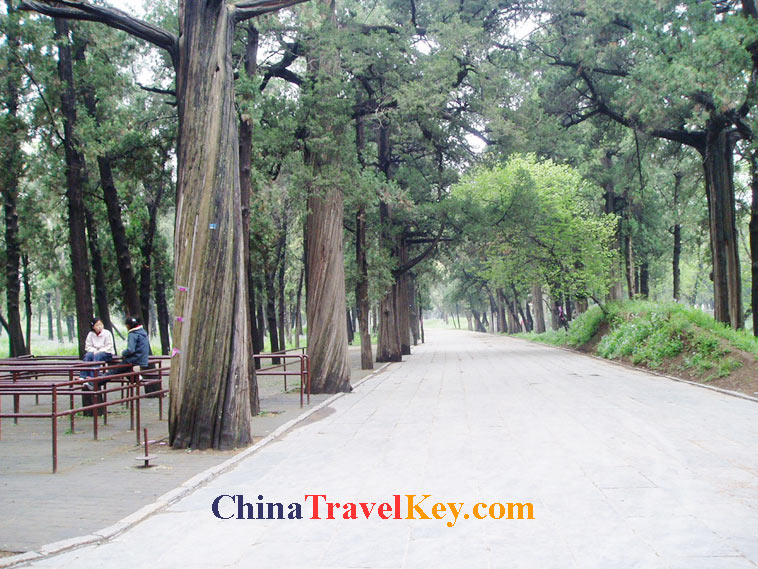 photo of qufu cemetery of confucius 
