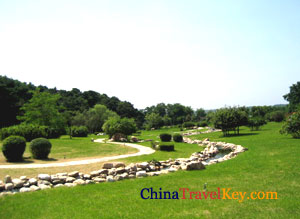 Shenyang