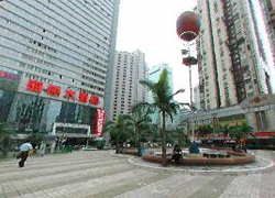 Exterior View of Petrel Hotel Shenzhen