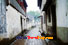 photo of tongli tour