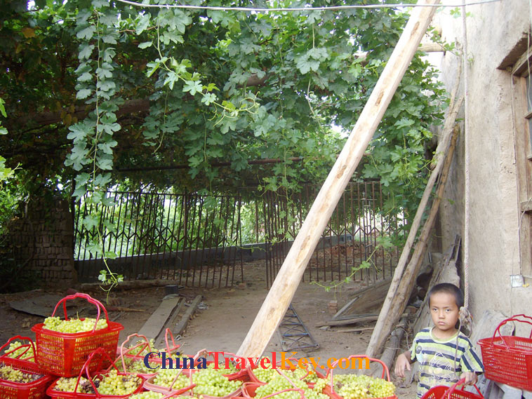 photo of Turpan Local Family