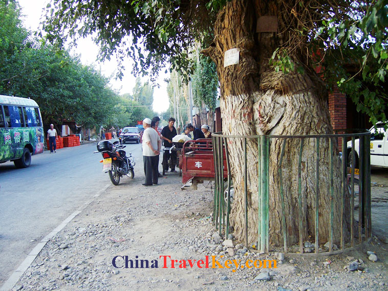 photo of turpan street