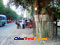 photo of turpan street