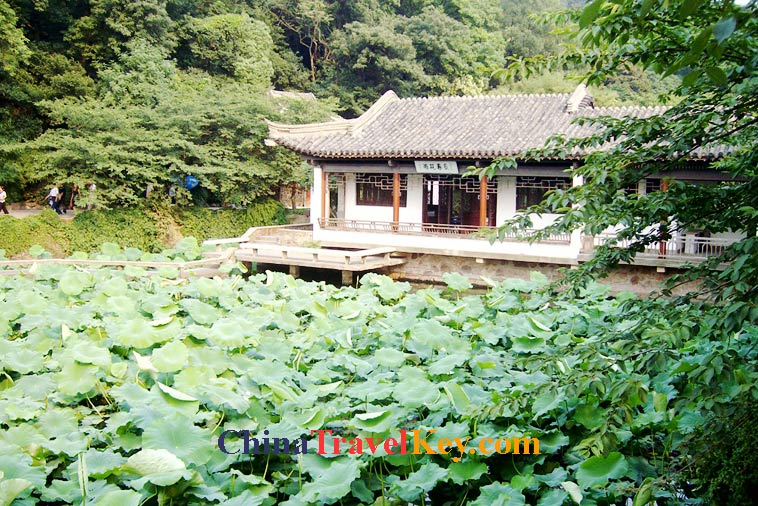 photo of wuxi lake tai