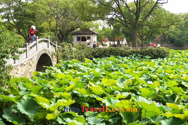 photo of wuxi li garden