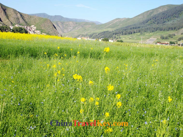 photo of xiahe view