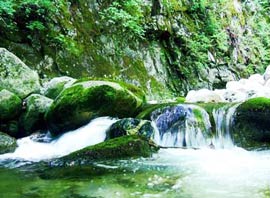 photo of Heihe National Forest Park