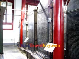 photo of stele forest museum