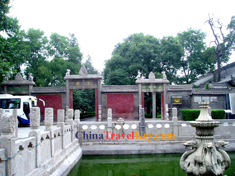 Stele Forest Photo(1st photo) 