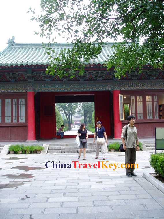 Stele Forest Photo(3rd photo) 