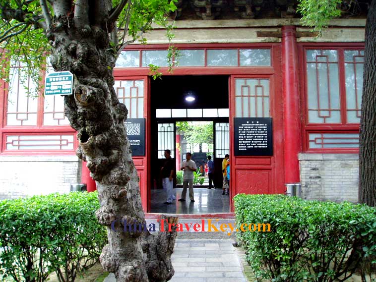 Stele Forest Photo(6th photo)