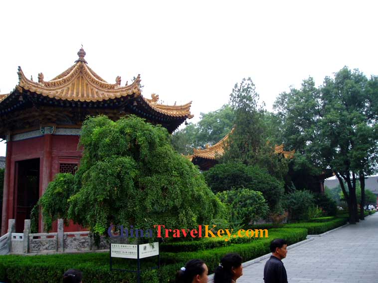 Stele Forest Photo(7th photo) 