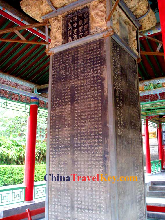 Stele Forest Photo(8th photo) 
