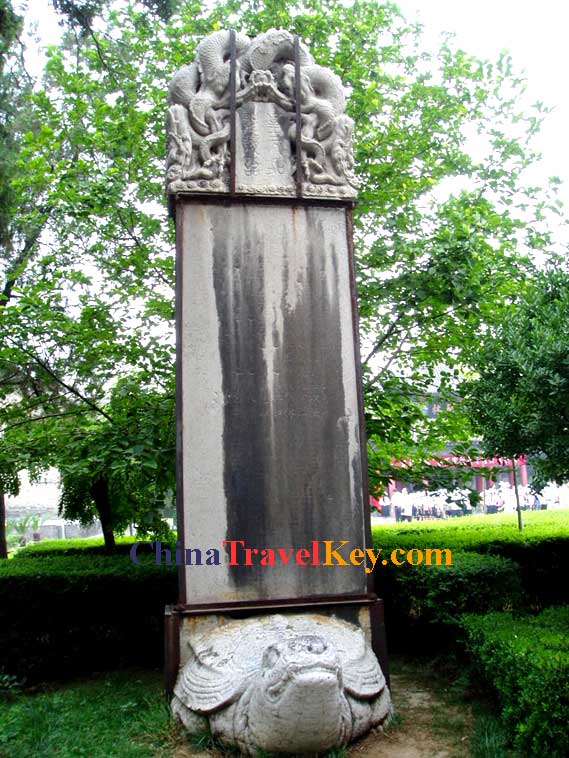 Stele Forest Photo(9th photo) 