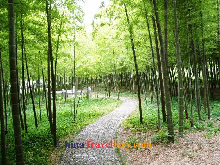 photo of suzhou tiger hill